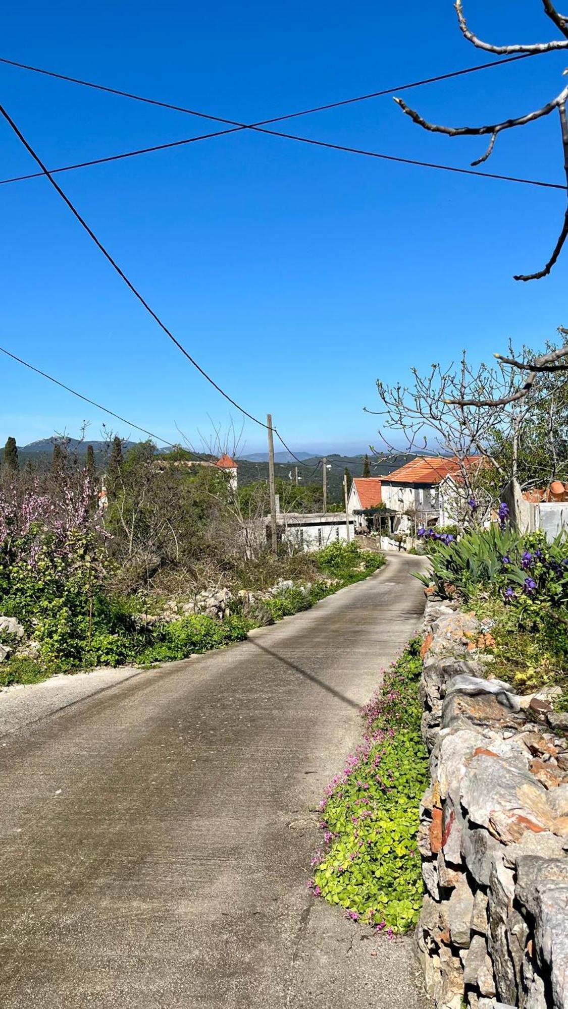 Villa Olivier House Zaglav Esterno foto